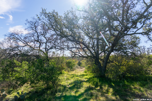 000 Highway 16 Property Photo 39
