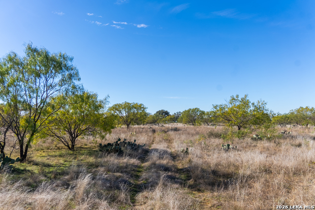 000 Highway 16 Property Photo 44