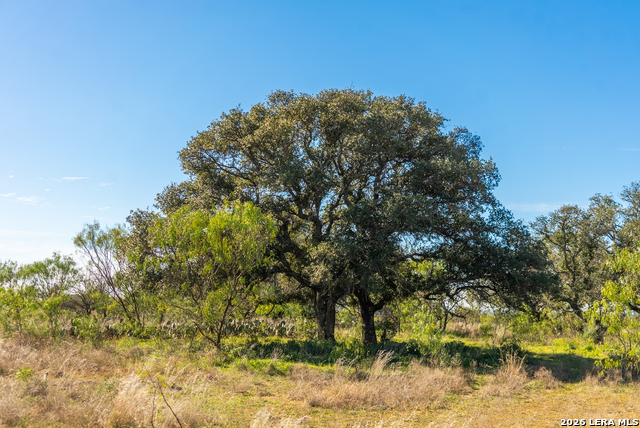 000 Highway 16 Property Photo 45