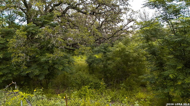8796 Stuart Rd Property Photo 6