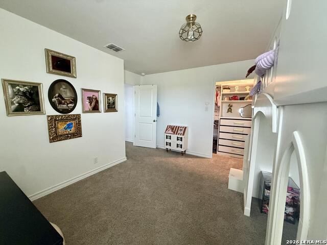 4522 Chalk Flats Property Photo 20