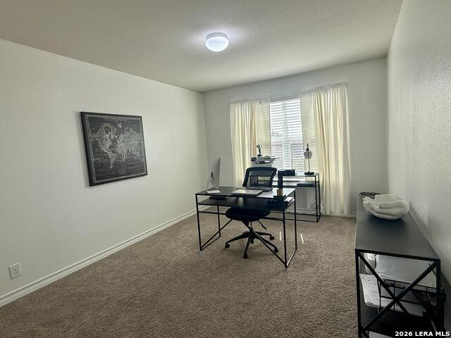 4522 Chalk Flats Property Photo 29