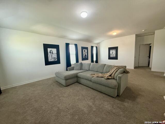 4522 Chalk Flats Property Photo 31