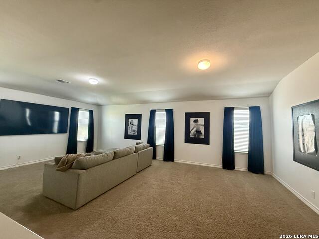 4522 Chalk Flats Property Photo 32