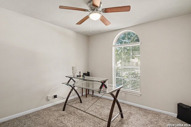 8511 Snakeweed Dr Property Photo 24
