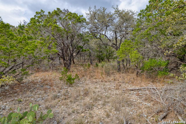 430 Frio Canyon Property Photo 2
