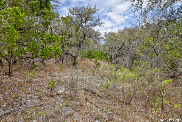 430 Frio Canyon Property Photo 5