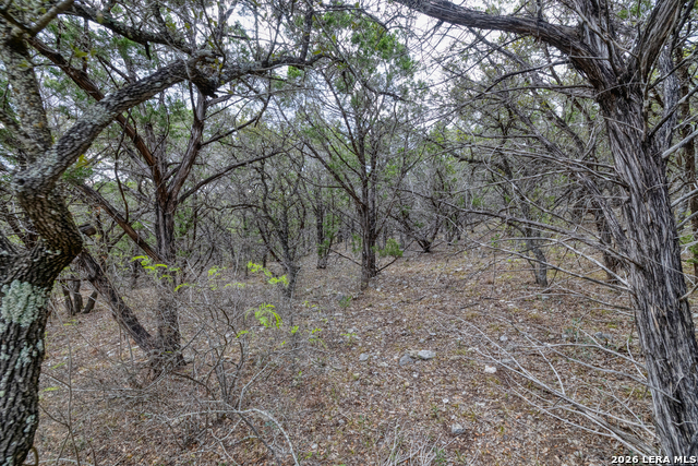 430 Frio Canyon Property Photo 6