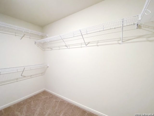 2927 Citron Gdn Property Photo 9