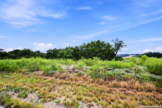 654 Travis Forest Dr Property Photo 12