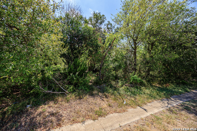15405 Rhodius Ln Property Photo 8