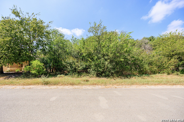 15405 Rhodius Ln Property Photo 9