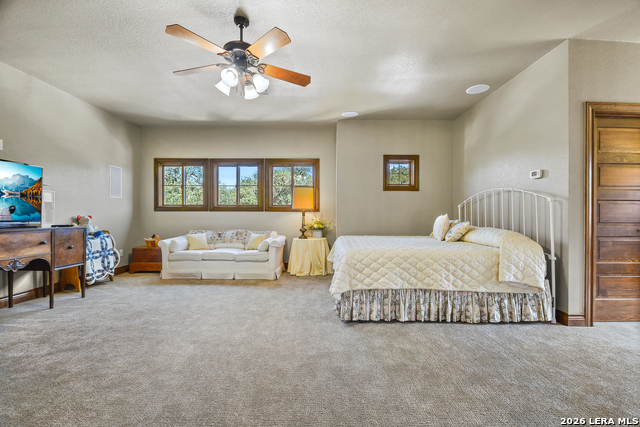 10510 Felsblock Ln Property Photo 43