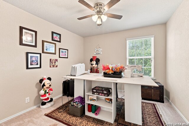 8934 Ironwood Hl Property Photo 21