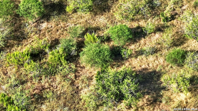 500 Cantu Xing Property Photo 7