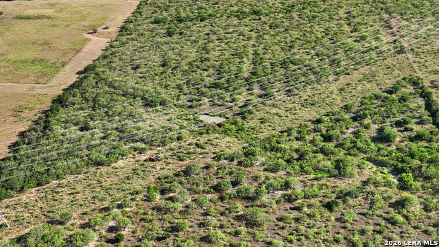 500 Cantu Xing Property Photo 10