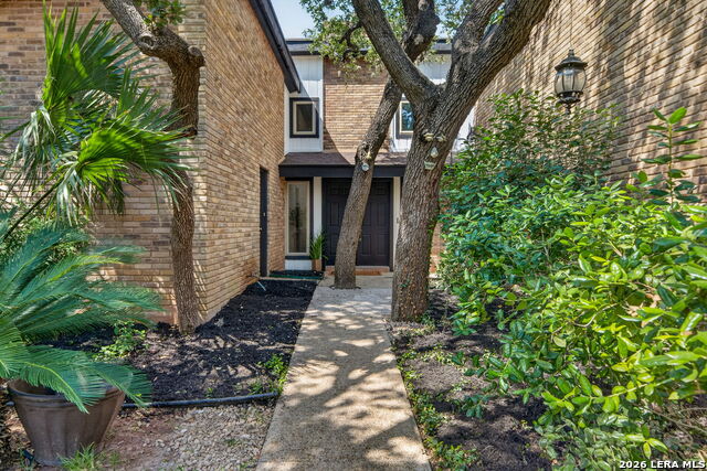 406 Wood Shadow St Property Photo 6