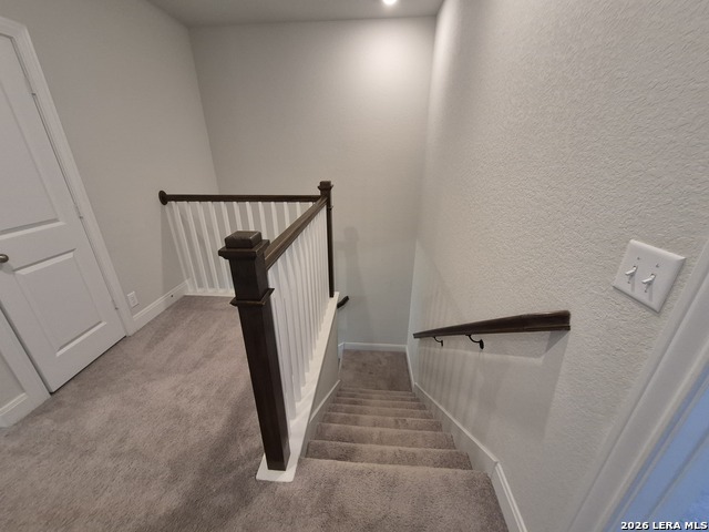 11612 Hollering Pass Property Photo 48