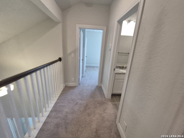 11612 Hollering Pass Property Photo 49