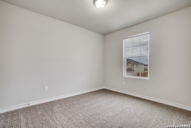 16905 Dancing Ava Property Photo 8