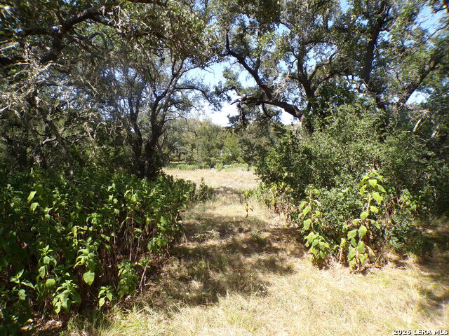 31401 Smithson Valley Property Photo 2