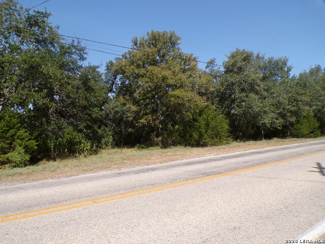 31401 Smithson Valley Property Photo 4
