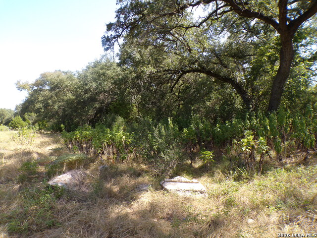 31401 Smithson Valley Property Photo 5