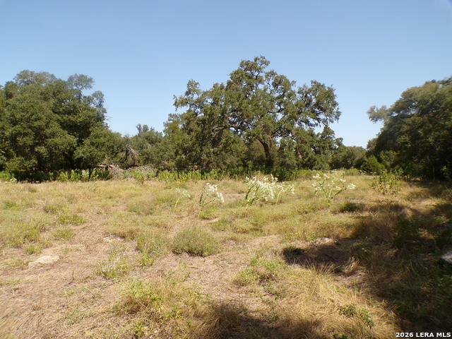 31401 Smithson Valley Property Photo 6