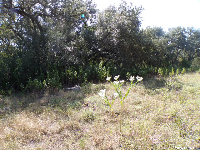 31401 Smithson Valley Property Photo 7