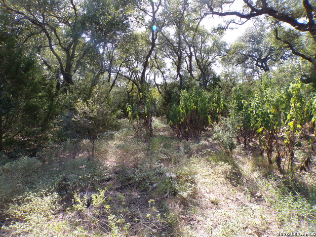 31401 Smithson Valley Property Photo 9