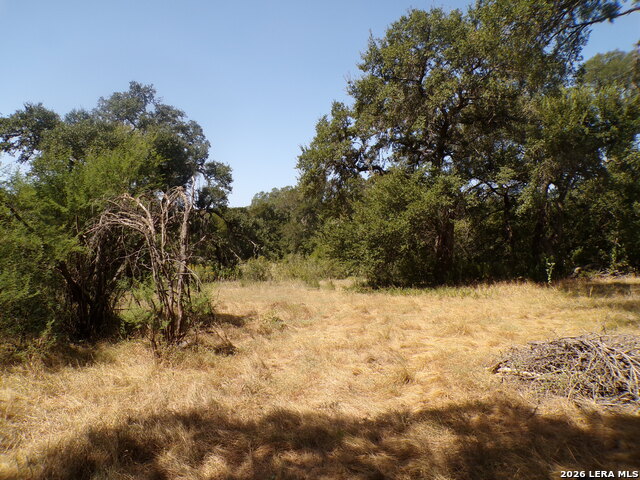 31401 Smithson Valley Property Photo 13