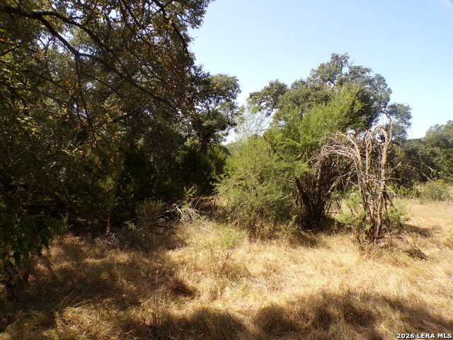 31369 Smithson Valley Property Photo 6
