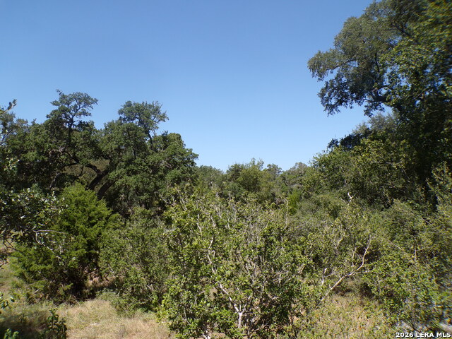 31369 Smithson Valley Property Photo 7