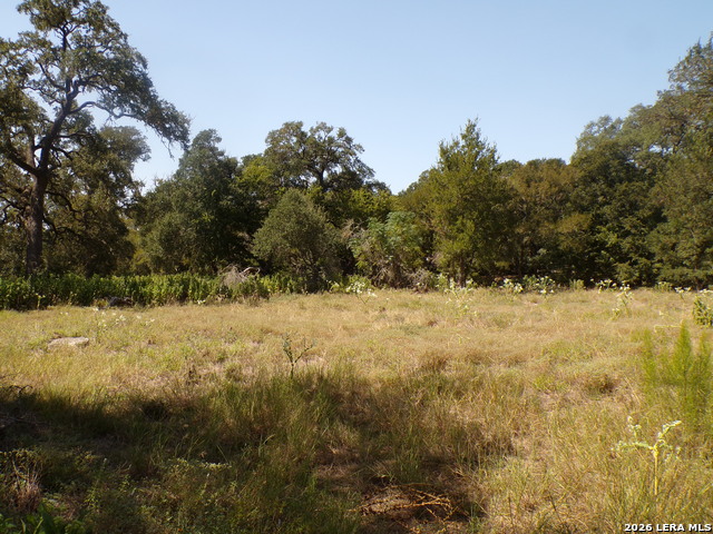 31369 Smithson Valley Property Photo 8