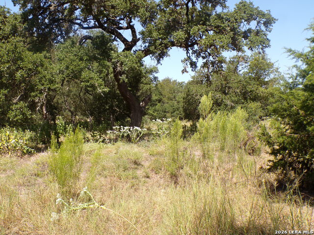 31369 Smithson Valley Property Photo 10