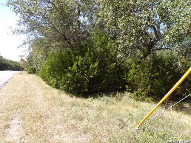 31369 Smithson Valley Property Photo 11