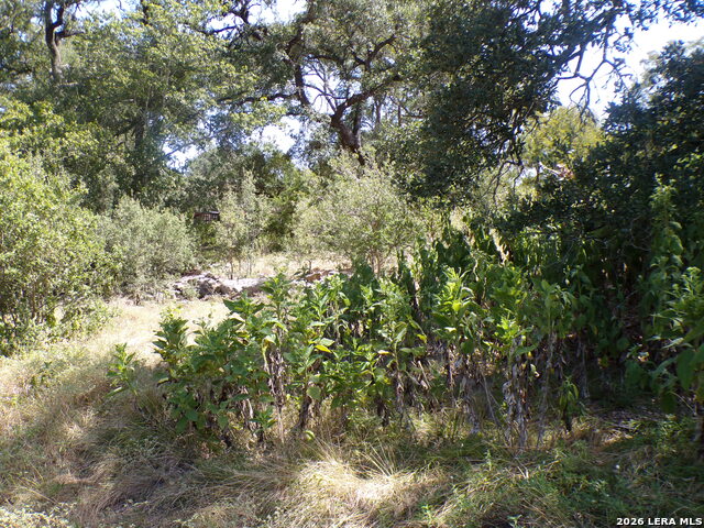 31369 Smithson Valley Property Photo 13