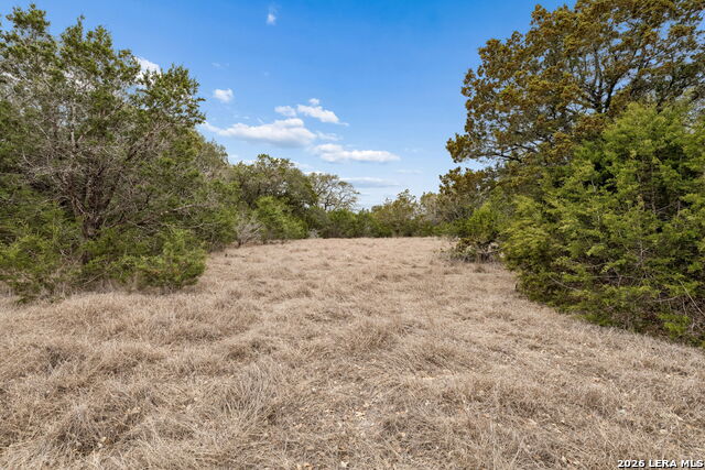 Tbd Lazy Forest Property Photo 14