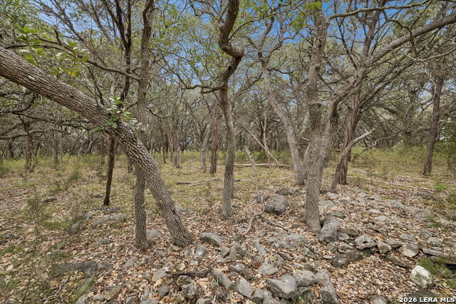 Tbd Lazy Forest Property Photo 15