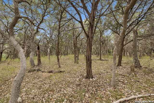 Tbd Lazy Forest Property Photo 16