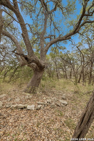 Tbd Lazy Forest Property Photo 17