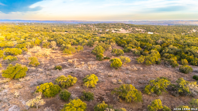 0 Rebecca Creek Rd Property Photo 10