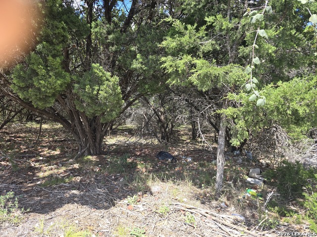 0 State Highway 46 Property Photo 2