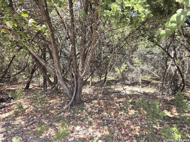 0 State Highway 46 Property Photo 3