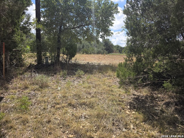 0 State Highway 46 Property Photo 6