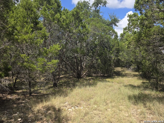 0 State Highway 46 Property Photo 7