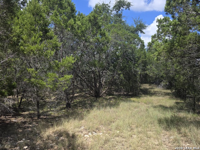 0 State Highway 46 Property Photo 8
