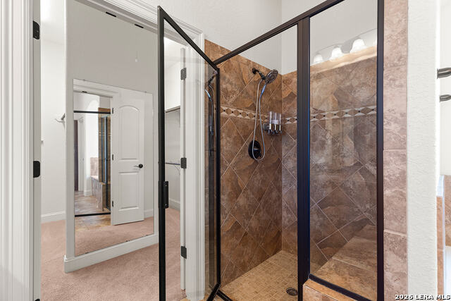 26210 Tuscan Woods Property Photo 39