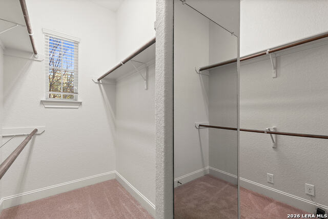 26210 Tuscan Woods Property Photo 40