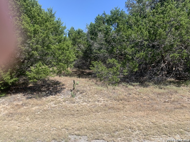 00 River View Drive Property Photo 1